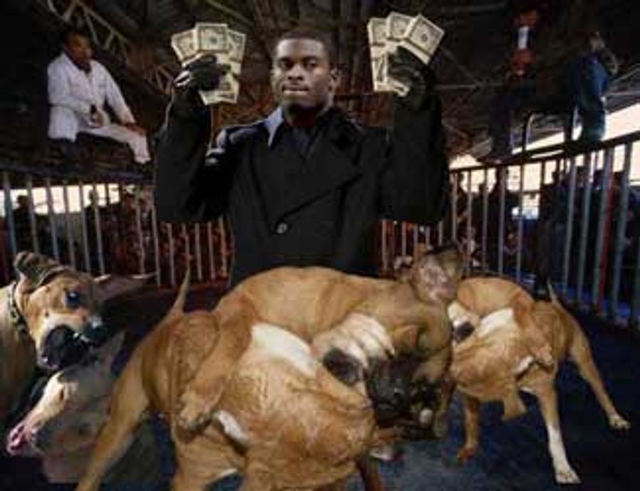 Your Daily Michael Vick Update(s)