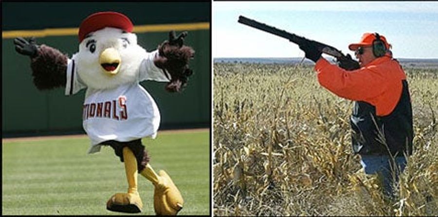 Looking At The Nationals' Mascot In A Whole New Light