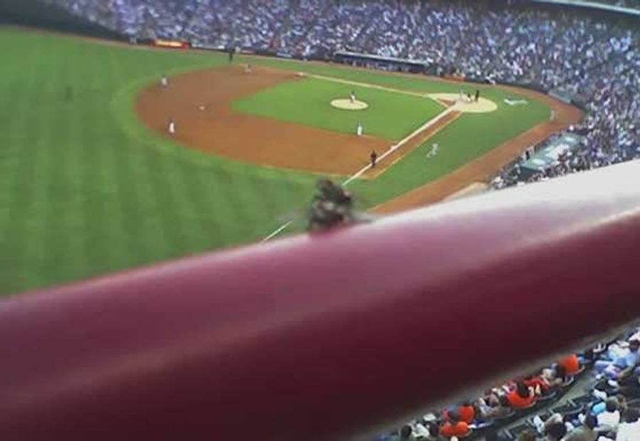 A Bug's Life, If That Bug Is Named John Holmes