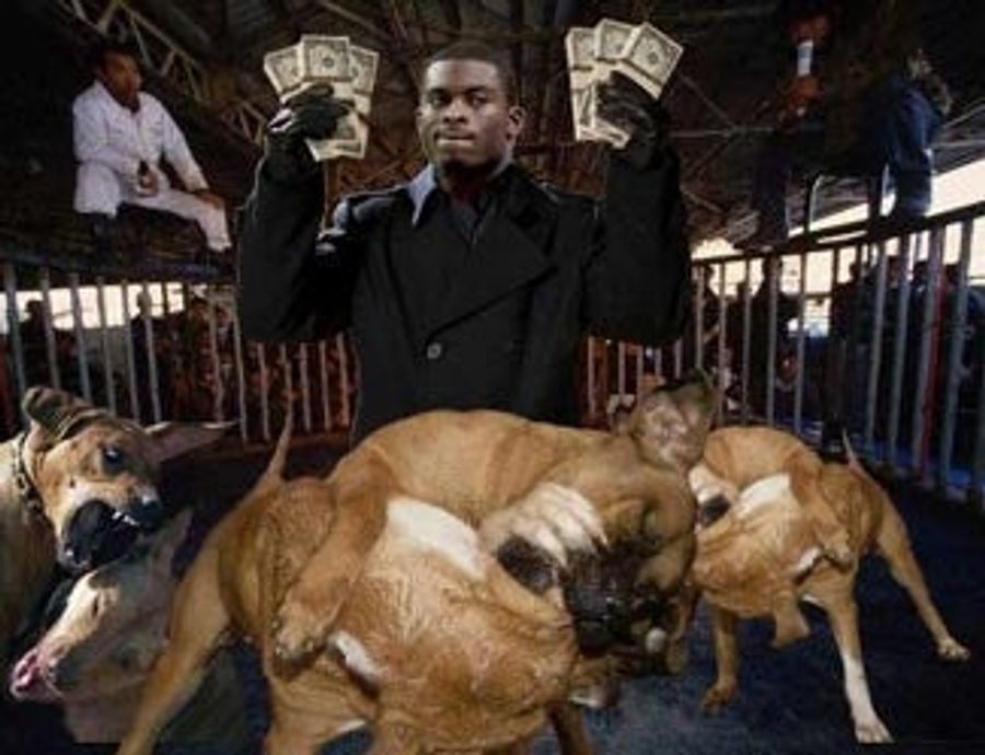 Michael Vick Is Angering Congress