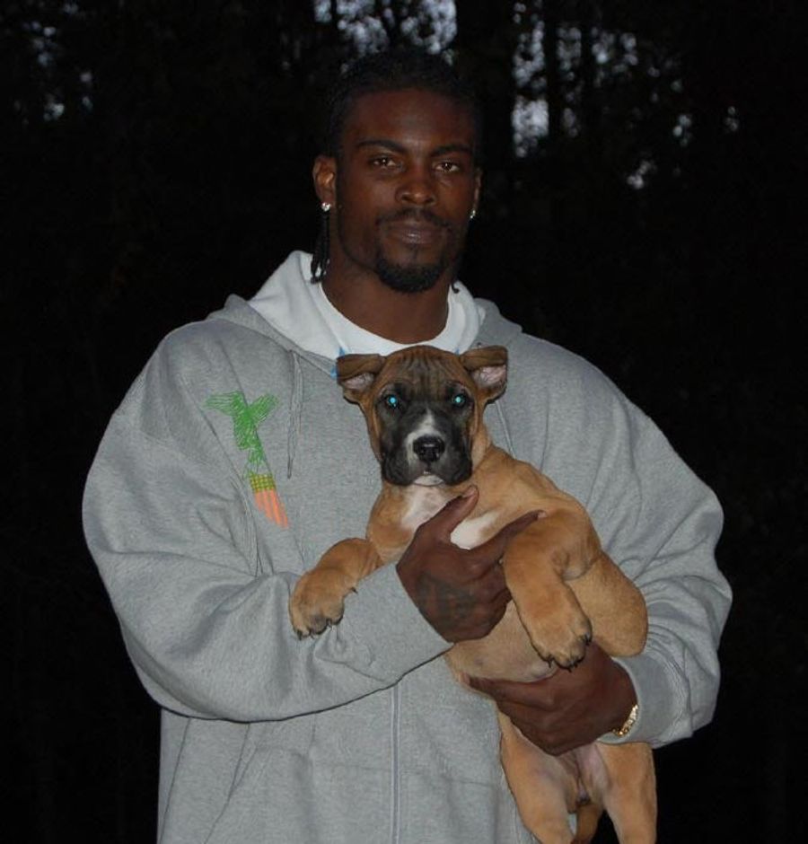 Why Can't They Just Leave Poor Michael Vick Alone?
