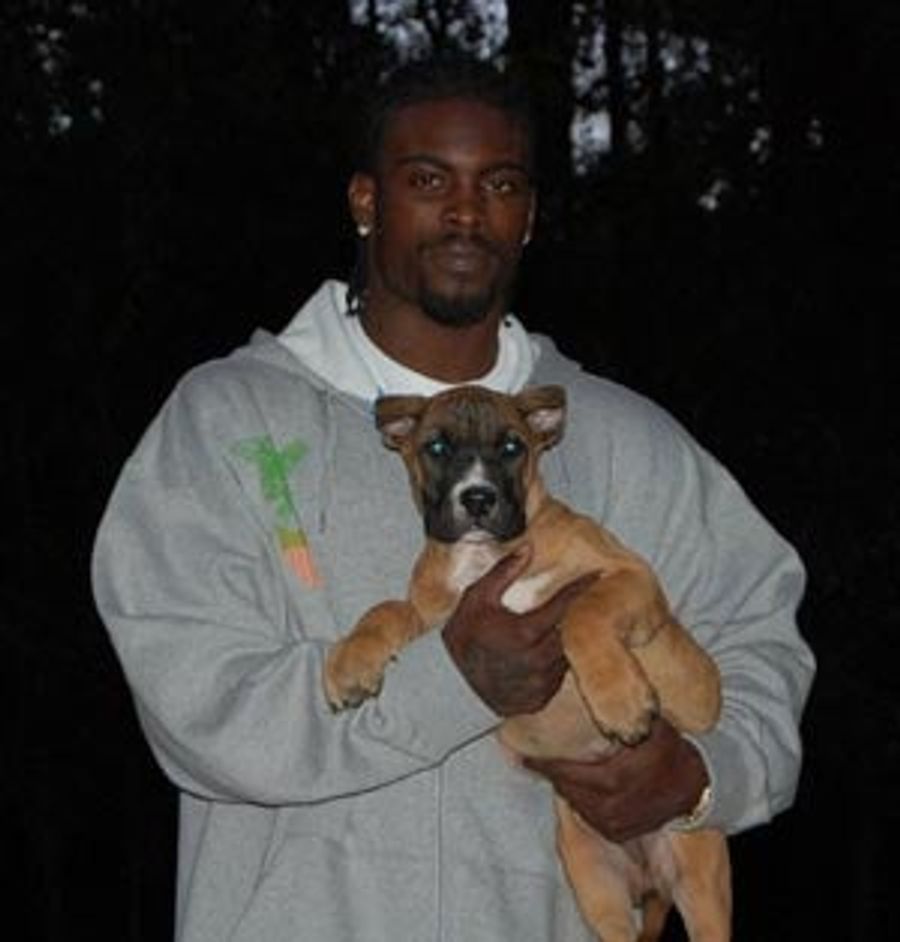 Will We Ever See Vick Play Again?