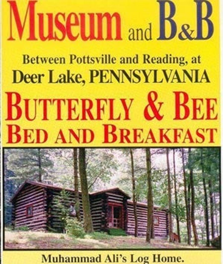 The Greatest Camp Of All Time, On Sale