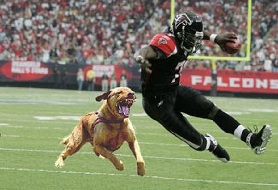 Michael Vick, Born For The Arena League