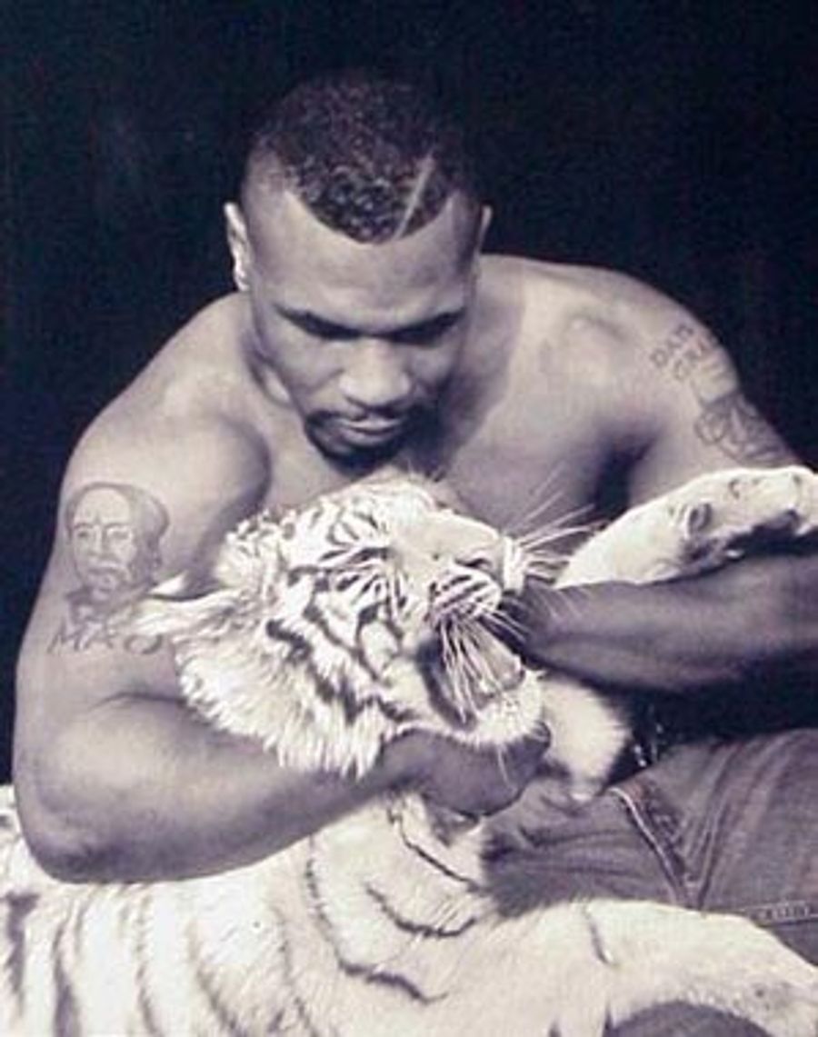 Own A Little Piece Of Mike Tyson