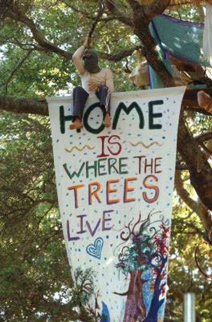 Trees Are No Match For Vols Fans