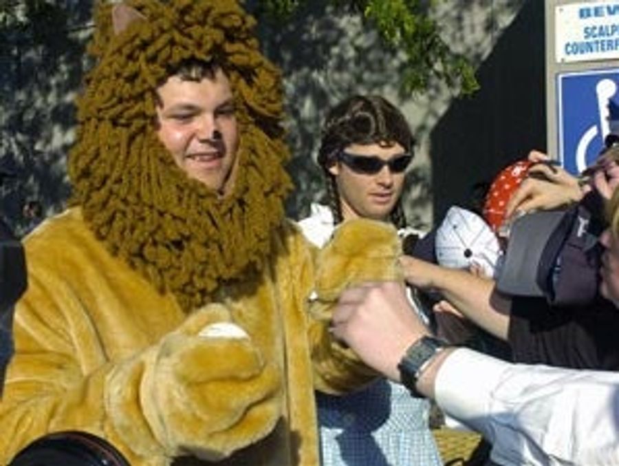 Joba Is The New F—k Lion