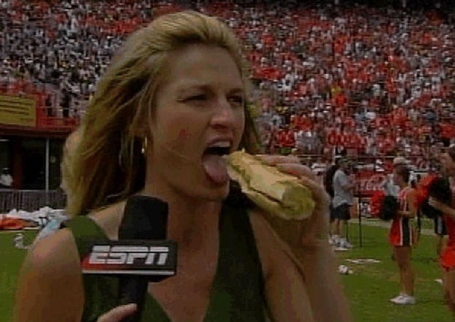 My, That Looks Like A Delicious Sandwich ...
