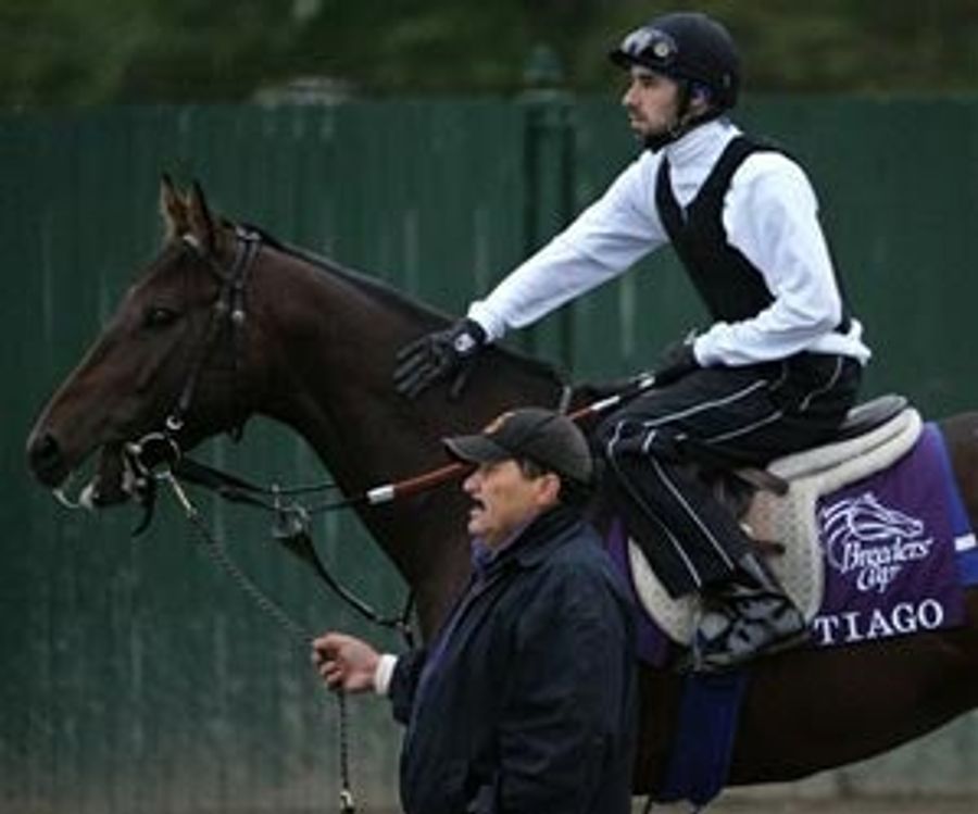 Your Breeders Cup Preview