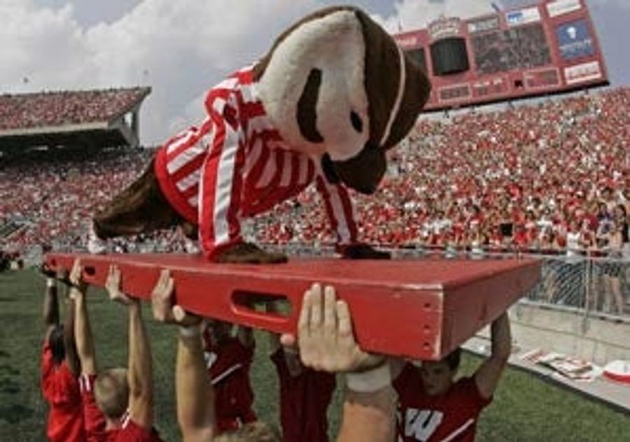 &quot;Dear Furry Guy ... I Am Sorry I Hit You&quot;