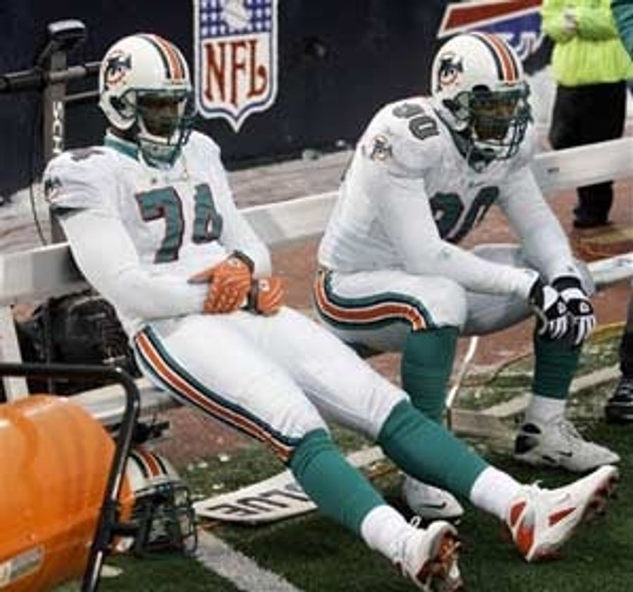 Fun Time In Dolphins Land