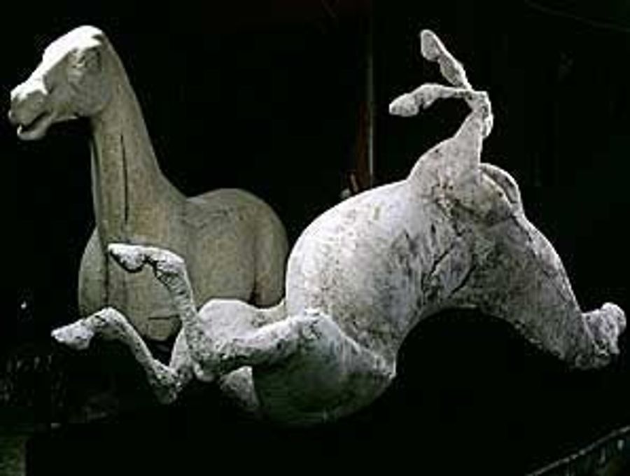 Barbaro To Live On (Upside Down) In Central Park