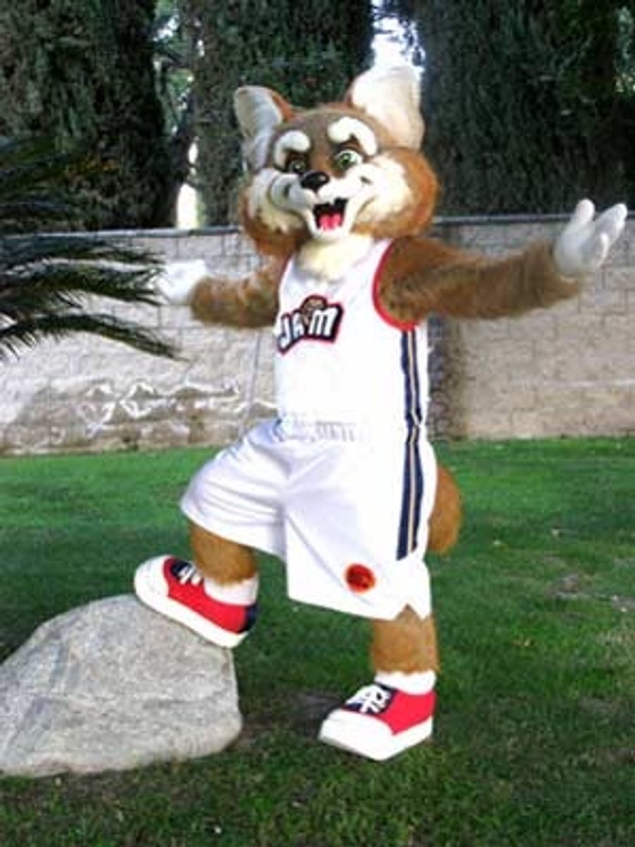 A Celebration Of All Things D-League
