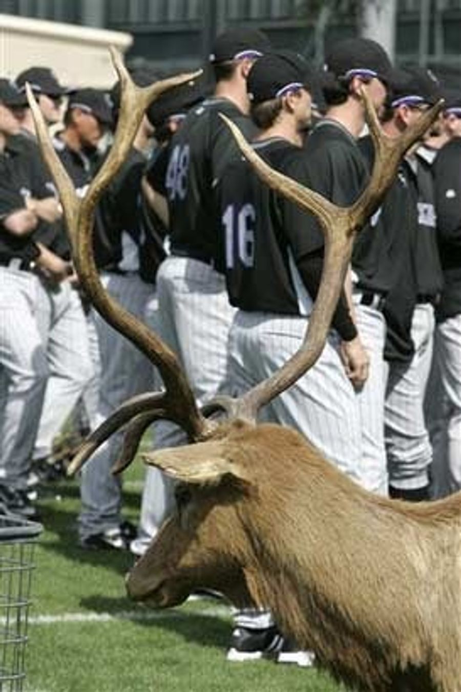 Baseball Season Preview: Colorado Rockies