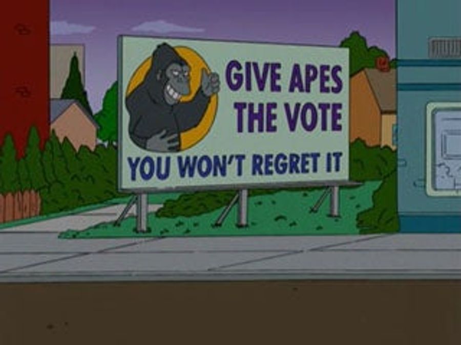 I Trust I Can Rely On Your Vote