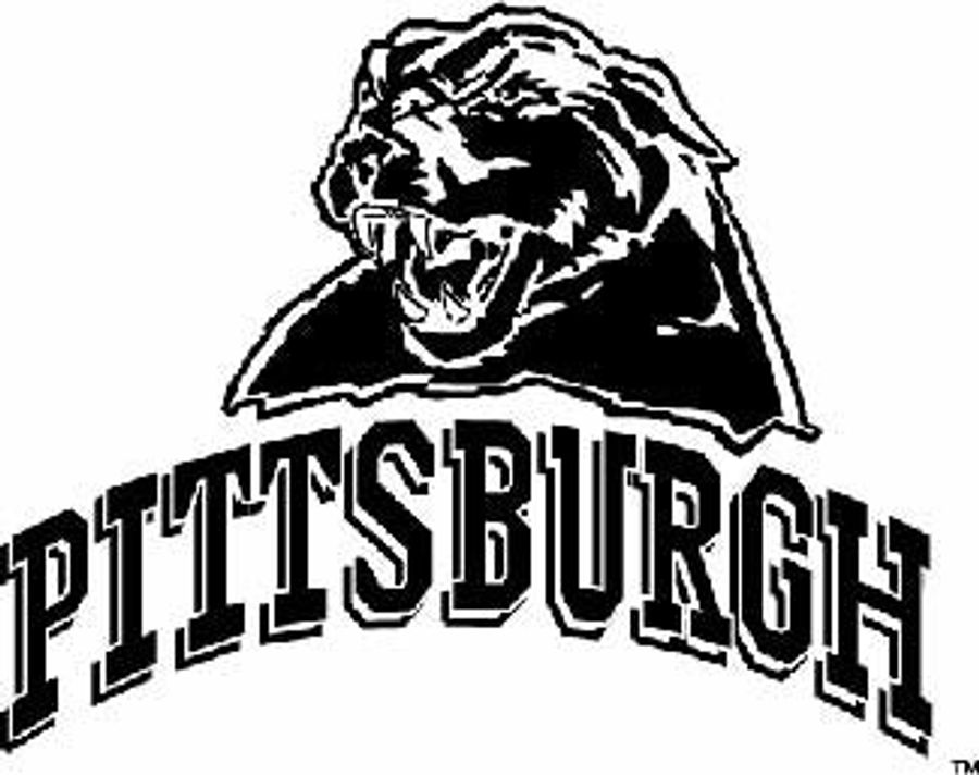 Pittsburgh Panthers