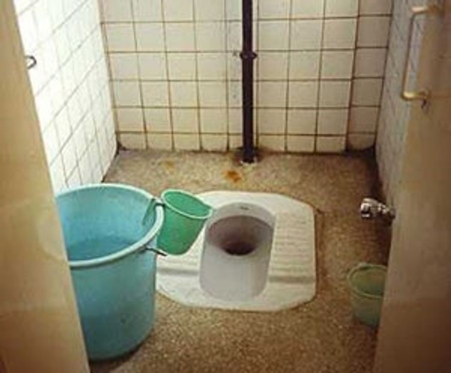 China Has Addressed Our Pooping Needs