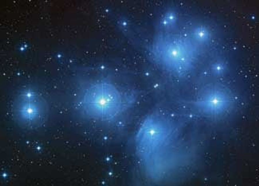 We Are (Mostly) Made of Stars
