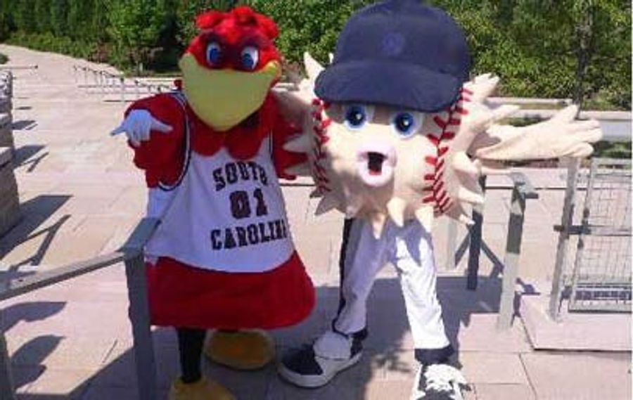 Gamecock And Blowie, Together At Last