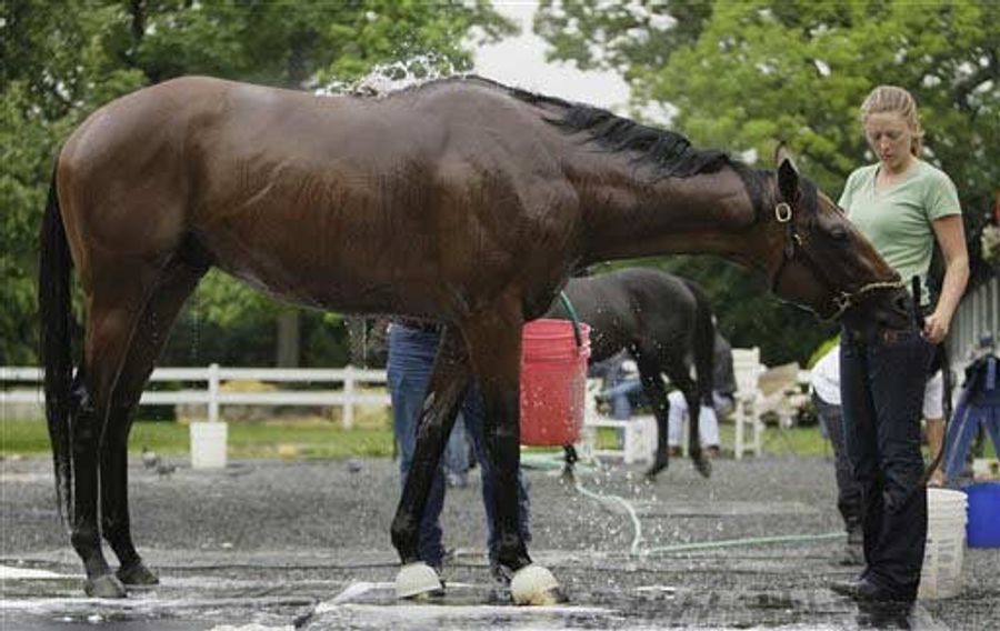 Your Belmont Stakes Preview