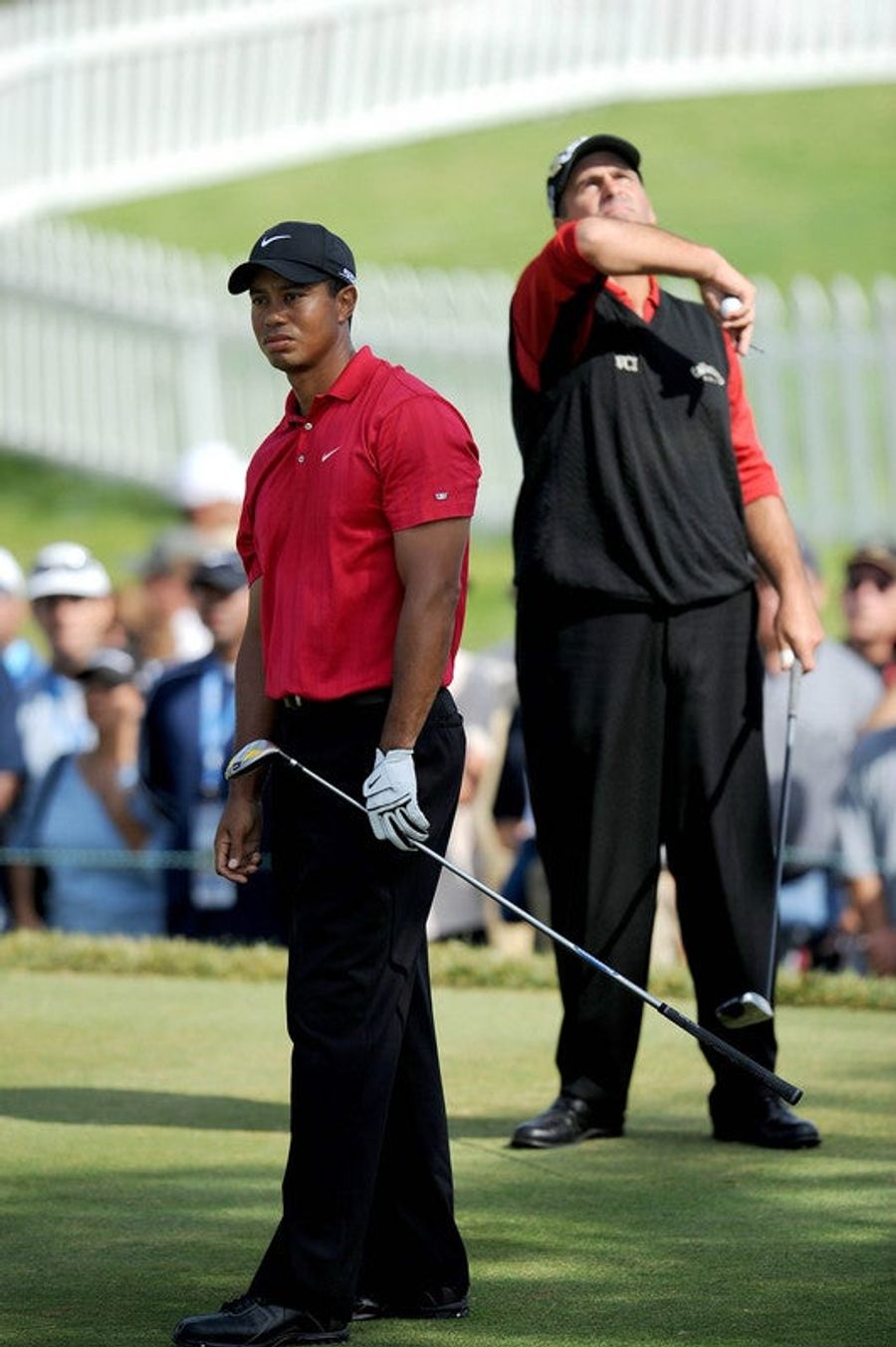 Tiger Up By Two, Rocco Swats At Imaginary Vultures Circling Him