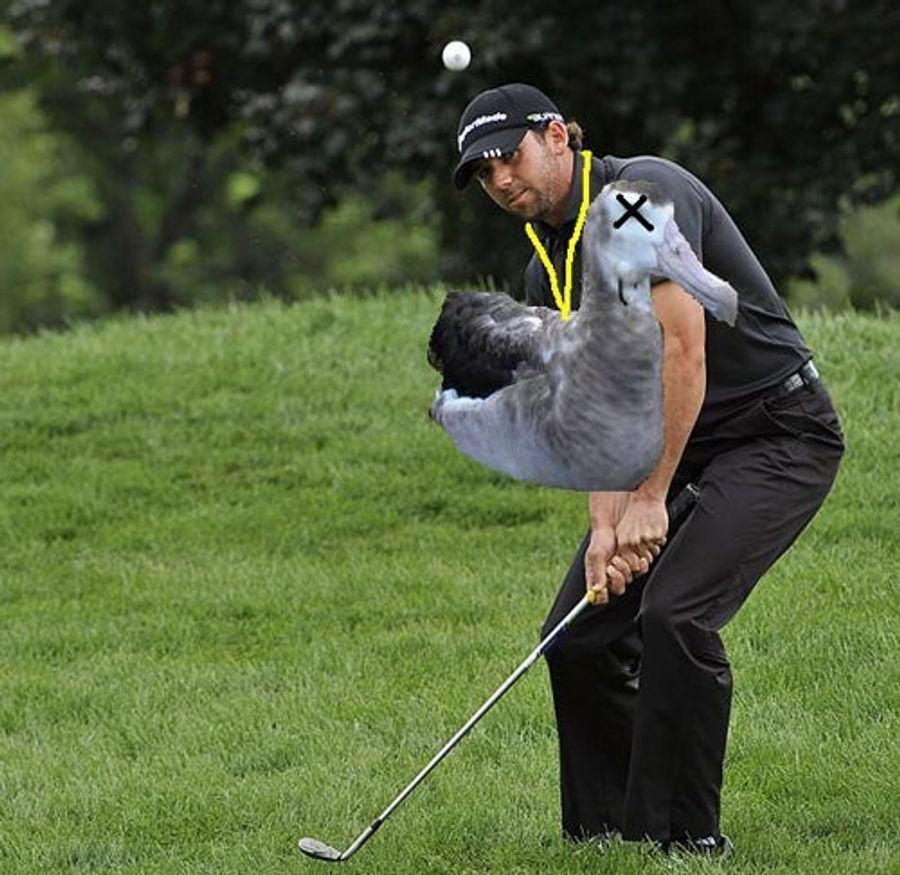Oh, Sergio...