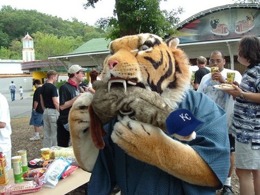MLB Closer: Do Not Taunt Surly Third-Place Kitty