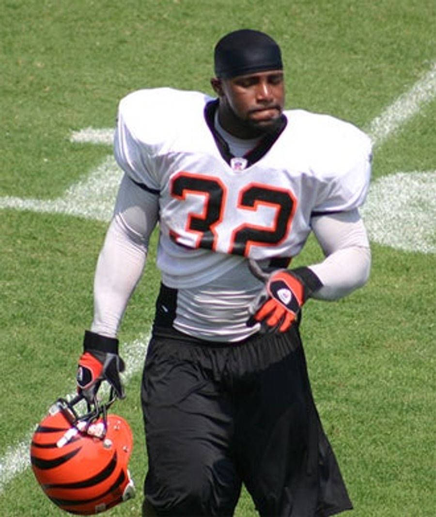 Rudi Johnson Released From Bengals, Presumably For Good Behavior