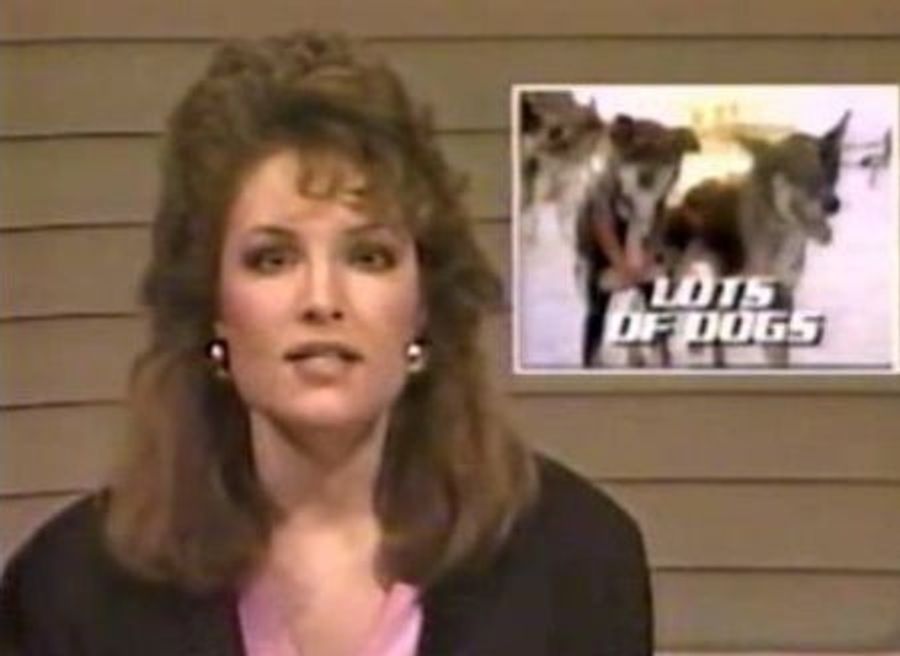 Sweet Lincoln's Mullet! The Sarah Palin Sportscast Video Is Here