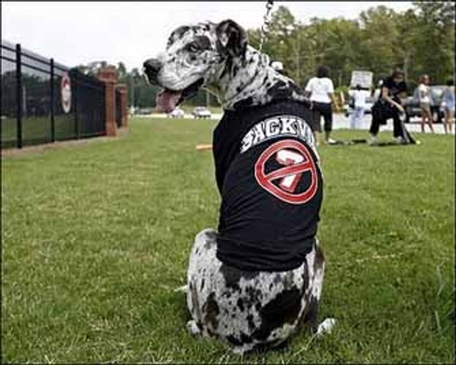 T-Bones Welcome Michael Vick To The Neighborhood