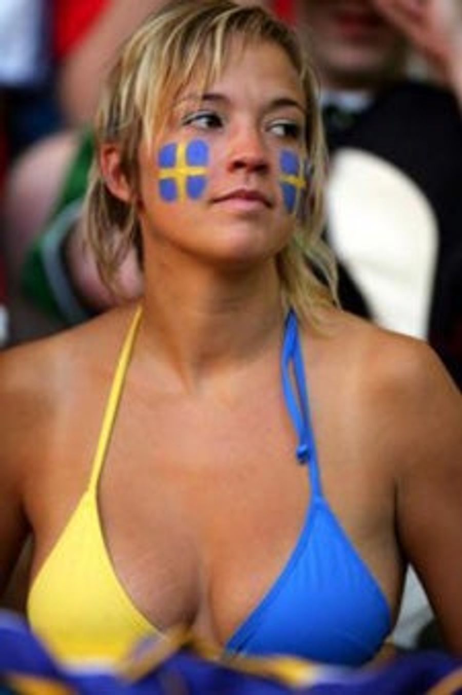 Dispatching Of the Swedes