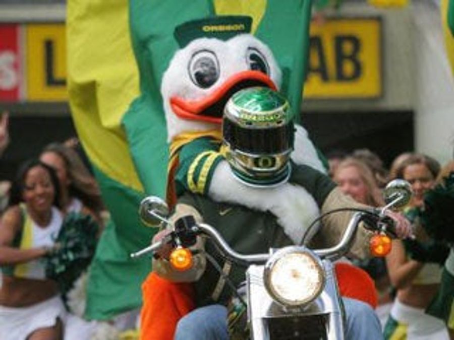 Ducks Commence Tailgate Over 12 Hours Before Gametime