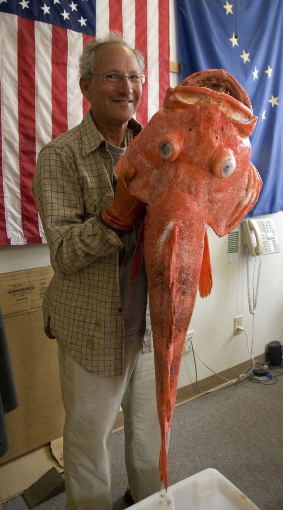 Old Fish Dead