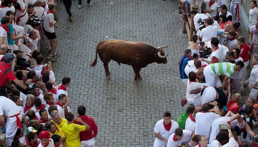 Where's Rex? Photos Of A Terrified Rex Ryan Running With The Bulls