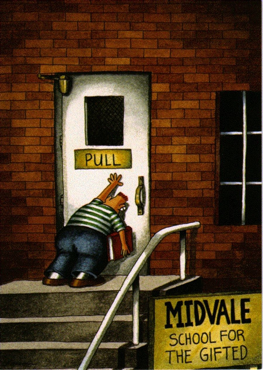 Bizarre Ride To The Far Side