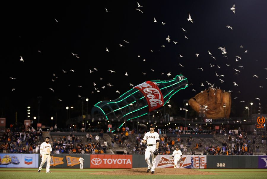 Seagulls Are Invading AT&T Park And Shitting Everywhere