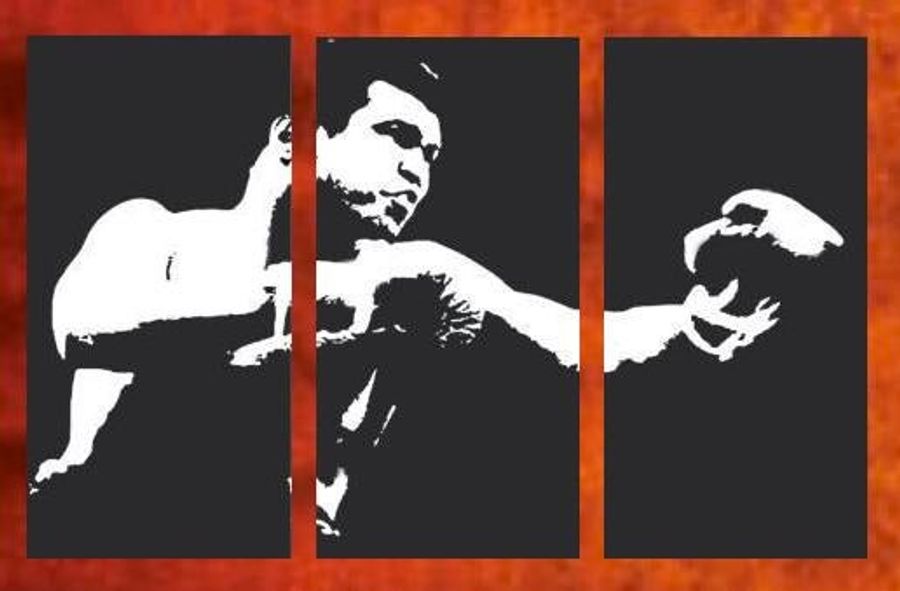 How Muhammad Ali Conquered Fear And Changed the World