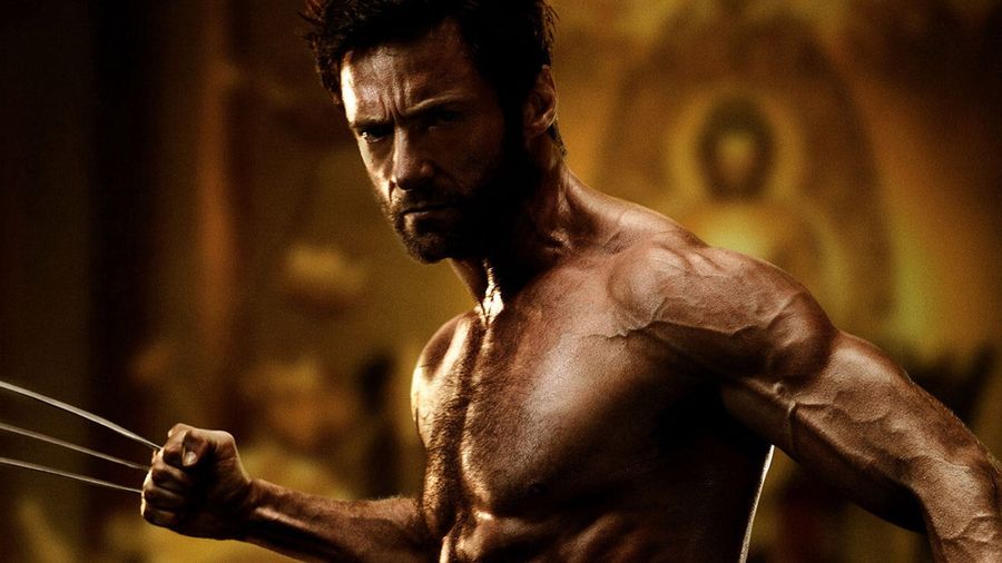 Declawed. <em>The Wolverine</em>, Reviewed.