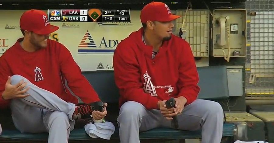 Angels Reliever Rescues Injured Pigeon During Game