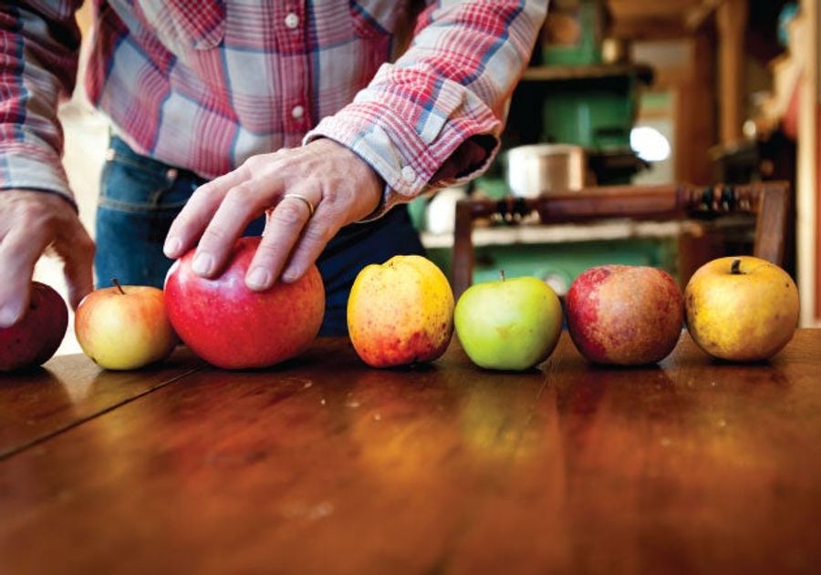 Why Your Supermarket Only Sells 5 Kinds Of Apples
