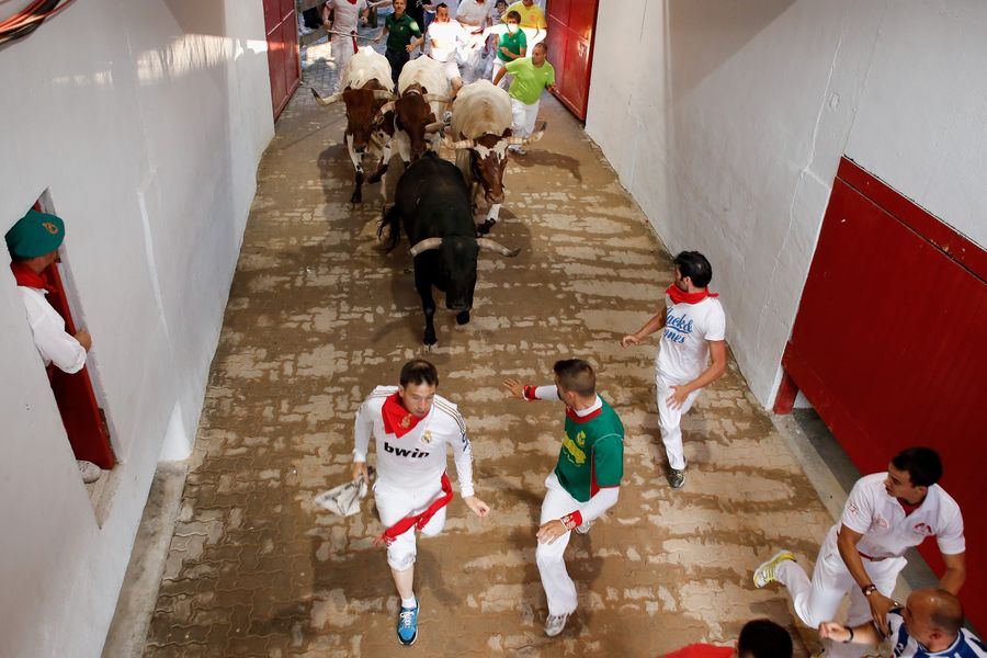 Bull Runs Will Soon Be Coming To The United States