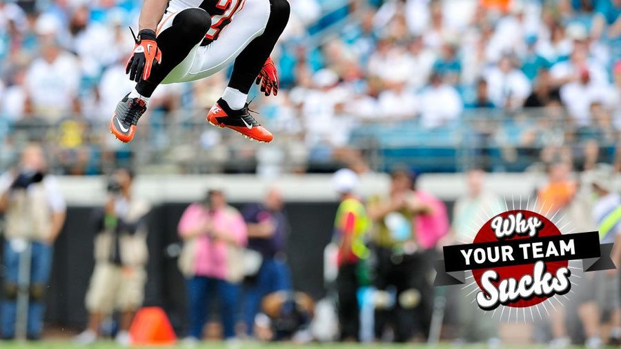 Why Your Team Sucks 2013: Cincinnati Bengals