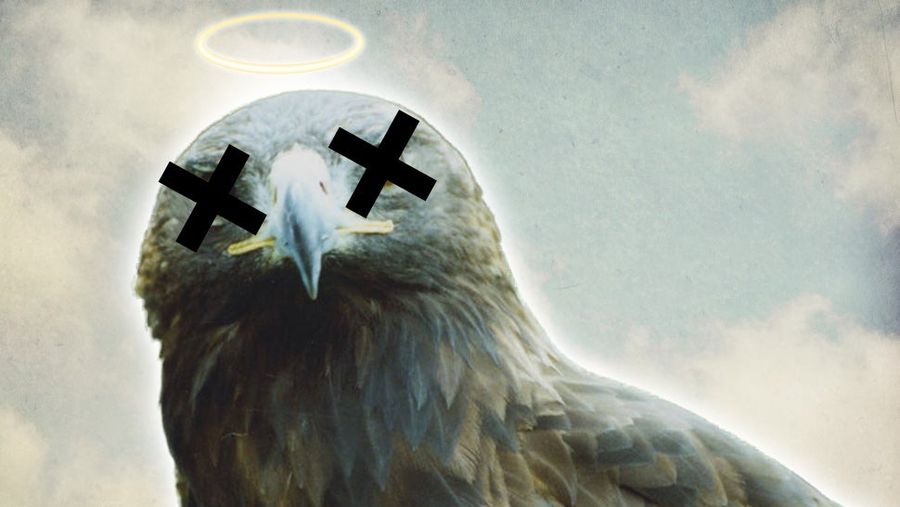 Who Killed Nugget II? Solving The Death Of Southern Miss's Mascot