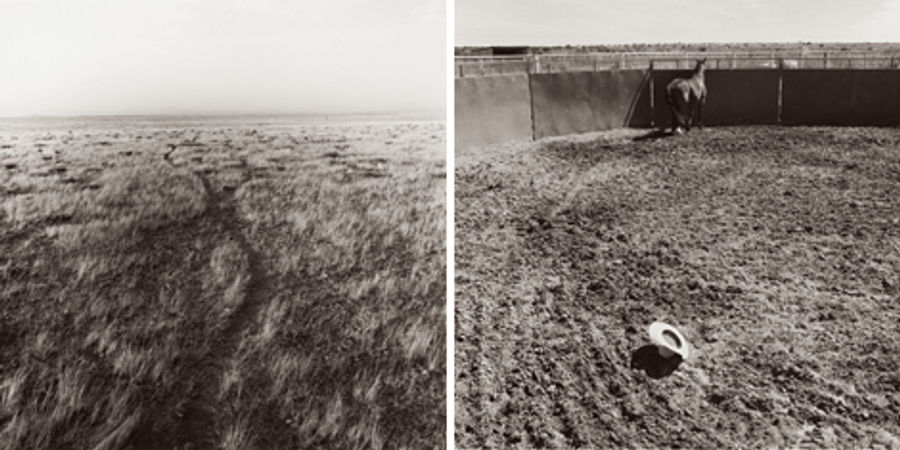 Gentling Cheatgrass