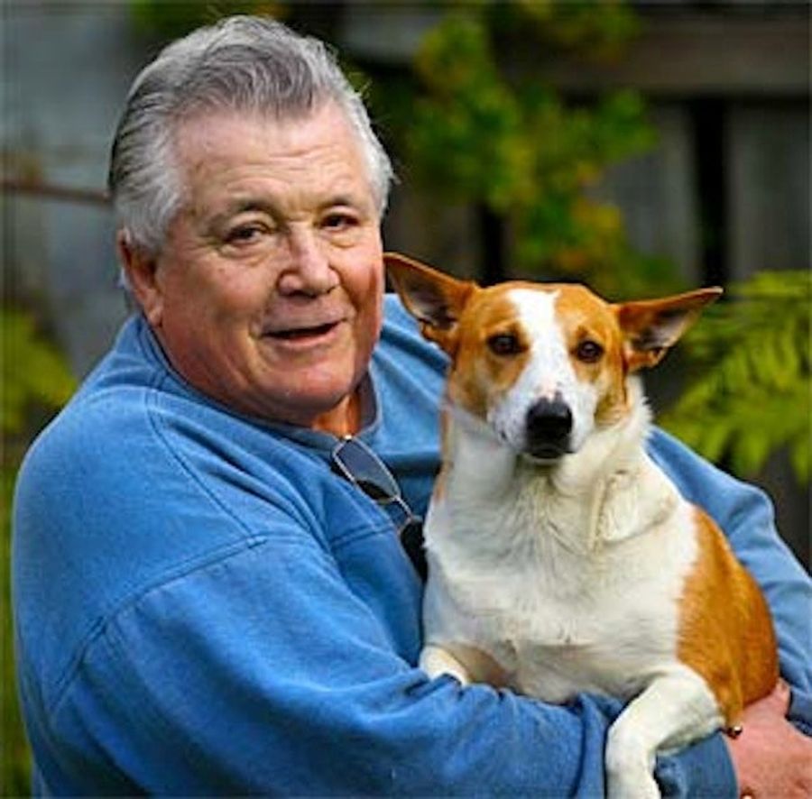 Dog Identified In Doggie Lineup Beats Charges Of Biting A Jogger