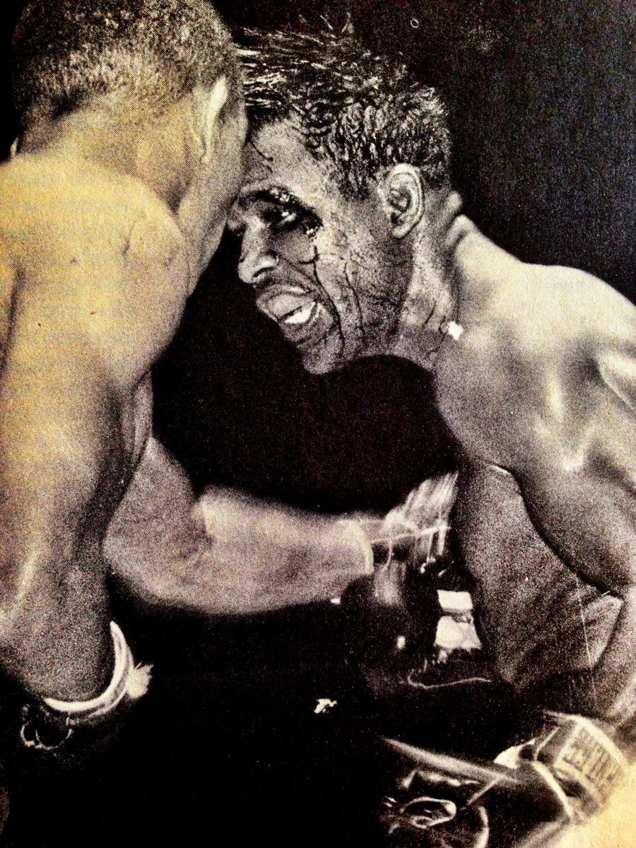 The Elements of Style: &quot;I Never Liked Fighting&quot;