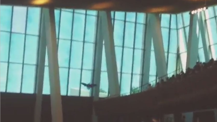 Oral Roberts Builds School Spirit With Bald Eagle Flying Into Window