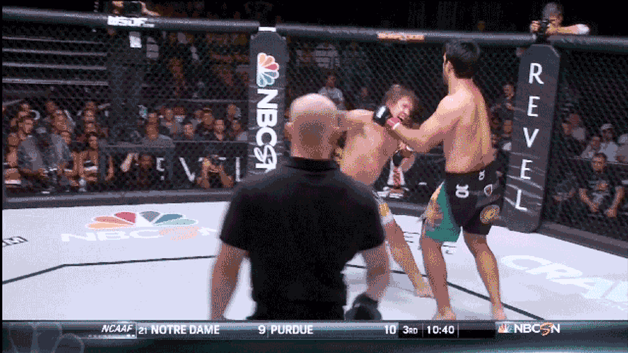 This Is The Funniest MMA Knockout Of 2013