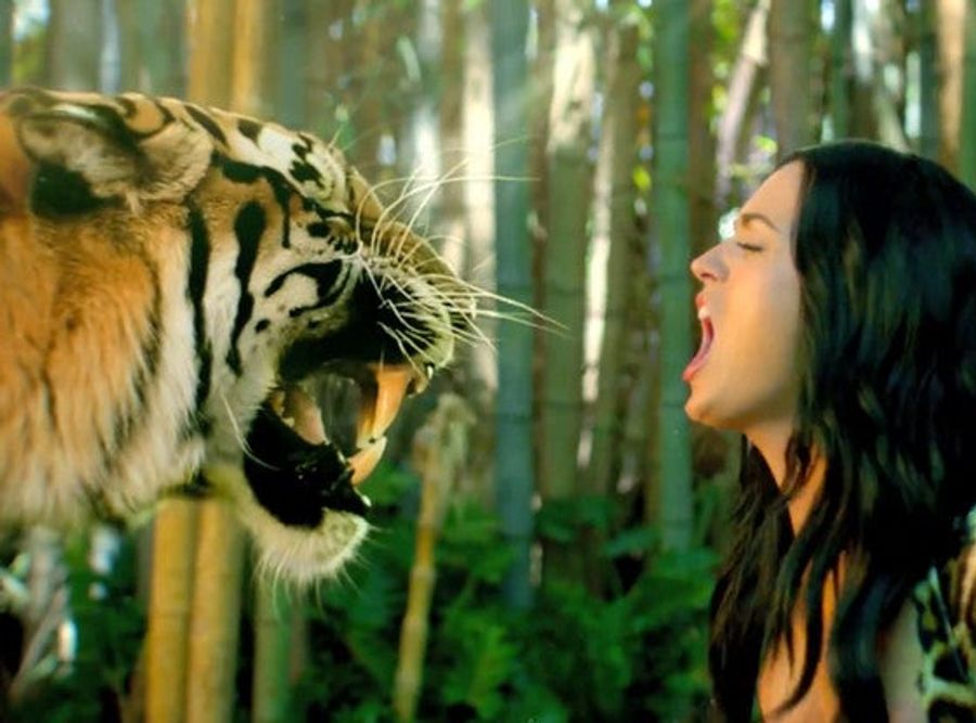 After Complaints, Bengals Abandon Katy Perry Song As Team Anthem