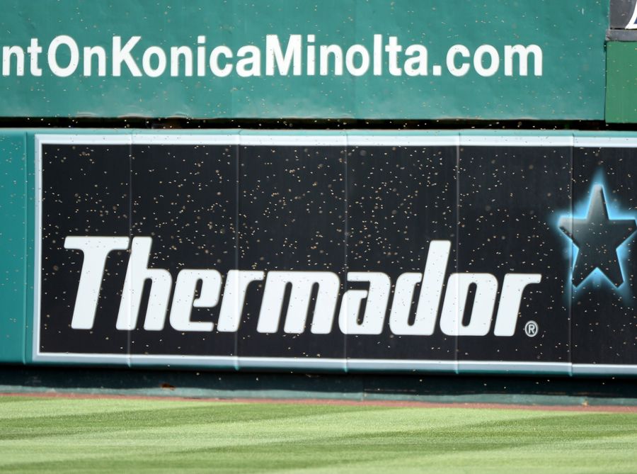 Look At All Of These Goddamn Bees At Angel Stadium